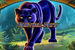 Panther Pays - BOYBET168