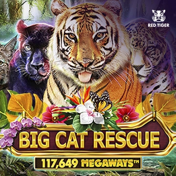 Big Cat Rescue Megaways - BOYBET168
