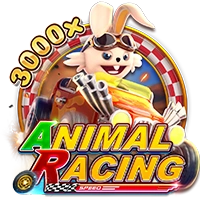 Facai : ANIMAL RACING - BOYBET168