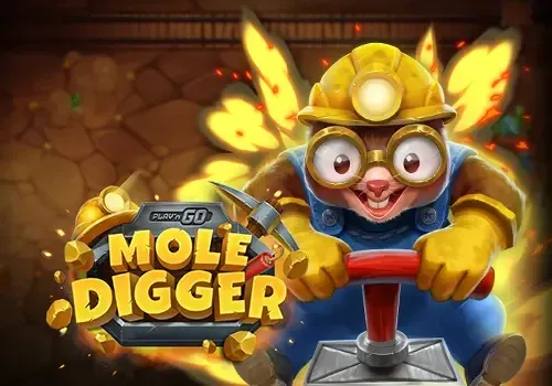 Playn GO Mole Digger - BOYBET168