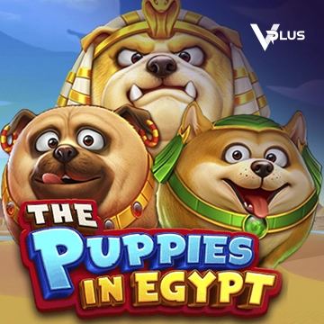 The Puppies In Egypt - BOYBET168