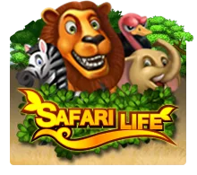Joker123 : Safari Life - BOYBET168