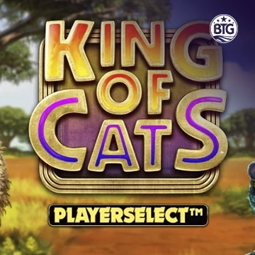 King of Cats - BOYBET168