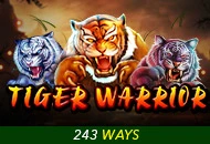 Spadegaming : Tiger Warrior - BOYBET168