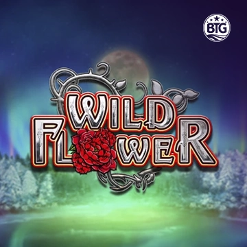 Wild Flower - BOYBET168