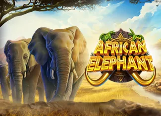 Pragmatic : African Elephant - BOYBET168